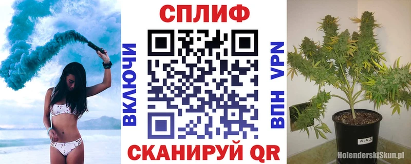 Магазин наркотиков Карачев Экстази  Alpha-PVP  Конопля  Cocaine 