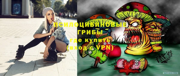 ALPHA-PVP Надым