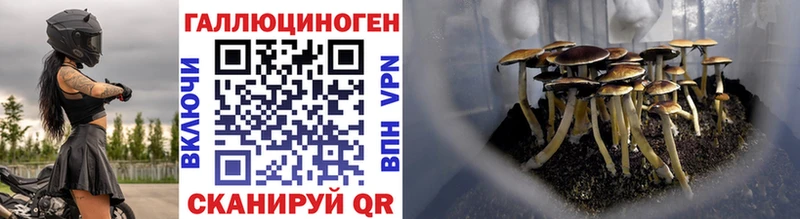 Псилоцибиновые грибы Magic Shrooms  где купить   Карачев 